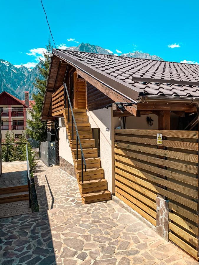 Moon Montana Buşteni Екстериор снимка