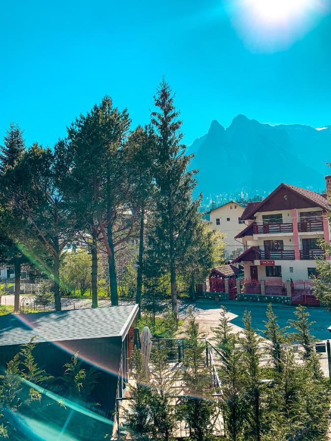 Moon Montana Buşteni Екстериор снимка