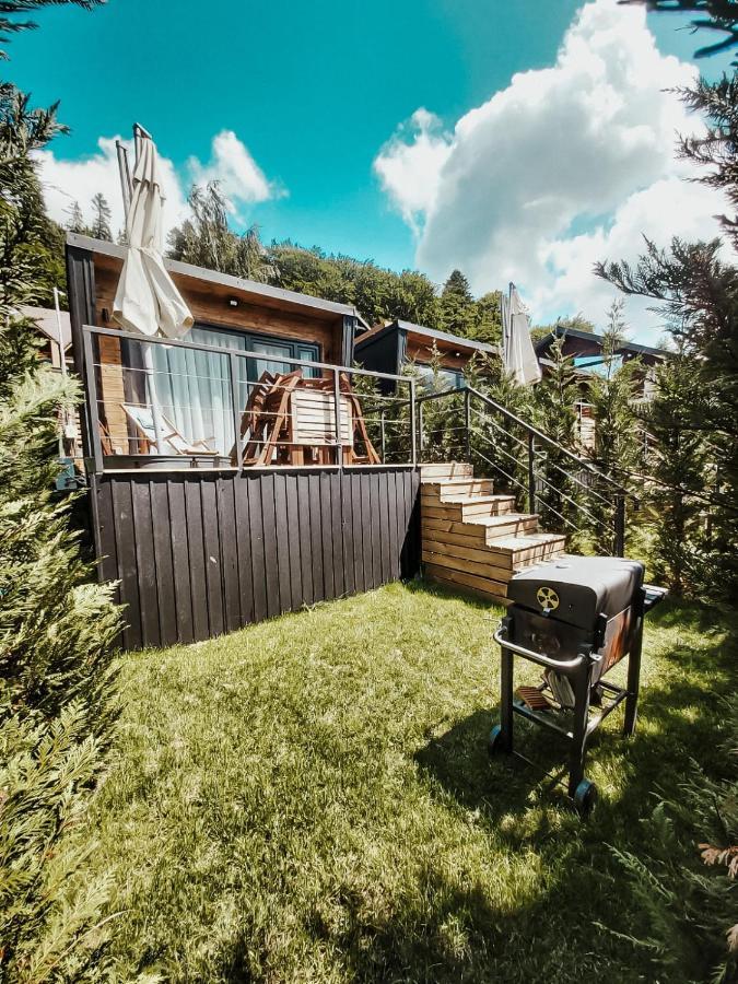 Moon Montana Buşteni Стая снимка